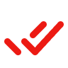 Minimalist red check icon