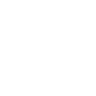 Assembly Shop